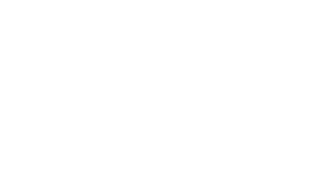 Logo - River-Island, SAP Contractors' client